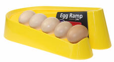 Gul egg rampe