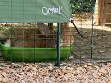 To kaniner som gjemmer en Omlet .