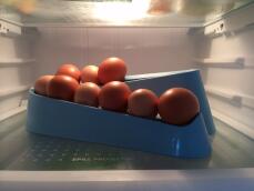 En eggerampe inne i kjøleskapet.