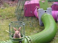 En kanin som topper hodet ut fra utkikkstårnet i den grønne tunnelen hans