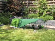 Et grønt hønsehus og løp med dekke, i en hage