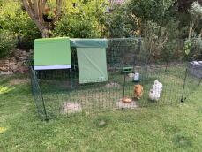 3 små kyllinger som streifer utenfor gården deres innenfor gjerdet