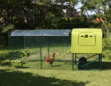 Grønn Eglu Cube hønsegård med løp og klart dekke med en kylling i løp