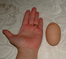Hånd og egg