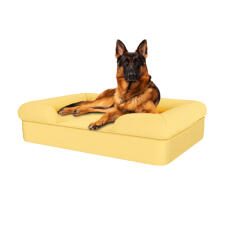 Hund sitter på myk gul stor memory foam bolster hundeseng