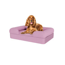 Hund sitter på lavendel lilla medium memory foam bolster hundeseng
