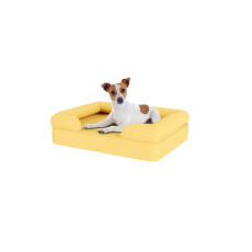 Hund som sitter på en liten, myk, gul memory foam bolster hundeseng