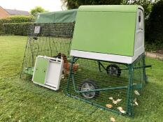 En grønn automatisk hønsegårdsdøråpner festet til løpet til et plasthus