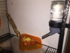 Matskålen og vannflasken inne i et Qute for hamster og ørkenrotte
