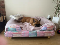 Belle elsker den nye sengen sin!