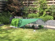 Et grønt hønsehus og løp med dekke, i en hage