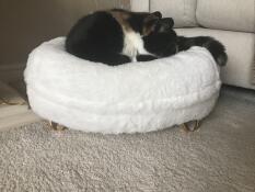 En katt som sover i den hvite sengen sin