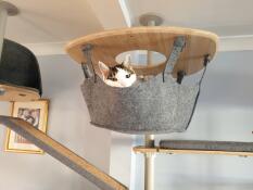 En katt som nyter hengekøyen til innendørs kattetreet sitt