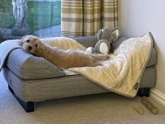 En hund som hviler på sin grå seng og teppe