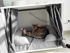 Maya Nook med en bolsterseng inni med en katt som sover på