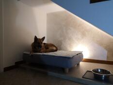 En hund slapper av på sin grå seng med vattert topper