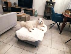 En stor hvit hund som hviler på saueskinnstoppen på den grå sengen sin