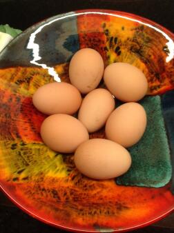 Denne uken Miss Pepperpot eggs