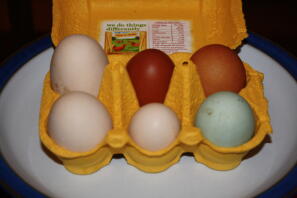6 vakre egg