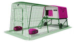 Eglu Cube Mk2 med 3 meter hønsegård og hjul - lilla