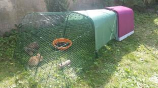 Omlet lilla Eglu Go kaninbu med løp og kaniner i hagen