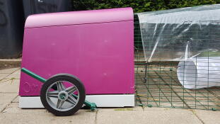 Omlet lilla Eglu Go plast hønsegård og kjøre med hjul