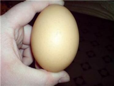 Det enorme 129g egget