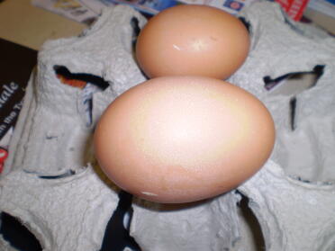 Stort egg! 109 gram !!