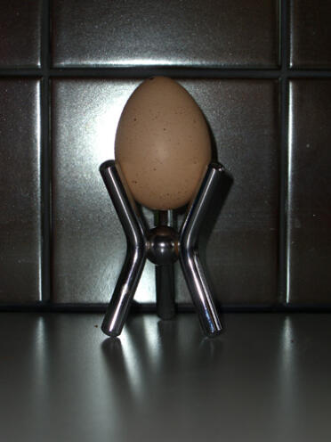 Det første egget