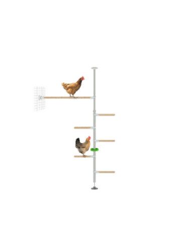Poletree kyllingstangabborsystem for kyllingløp - hendurance-settet