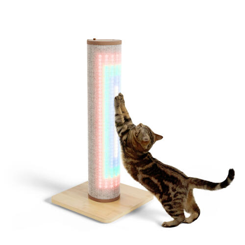Switch katteklorestativ med lys i sisal - kremfarget