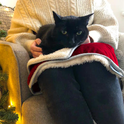 Svart katt sitter på Lux ury cat juleteppe på person