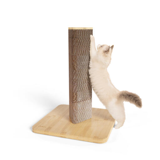 Kort Stak katteskrape med bambusbase