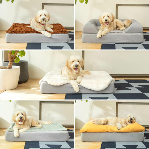 5 bilder av hund som ligger på Omlet Topology hundeseng med mikrofiber, støtteseng, saueskinn, vattert og beanbag toppers