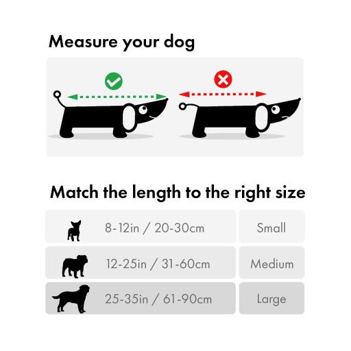 Hvordan måle hunden din