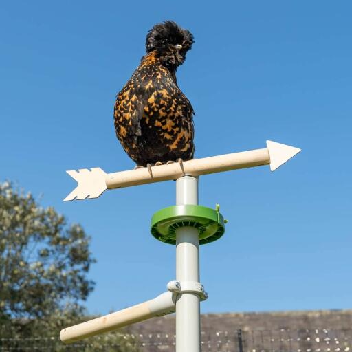 Kylling som sitter på toppen av værhanen kyllingleketilbehør for den frittstående universelle kyllingabboren