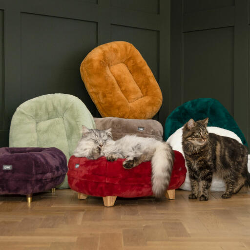 Katter som sover på splitter nye farger Omlet Maya smultring kattesenger