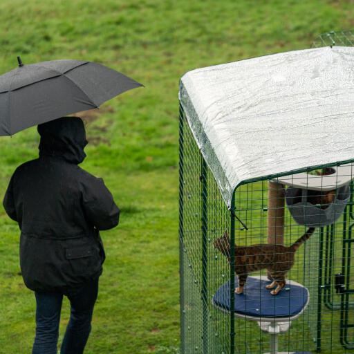 Eier med paraply ved siden av katten i en løpegård med gjennomsiktig dekke