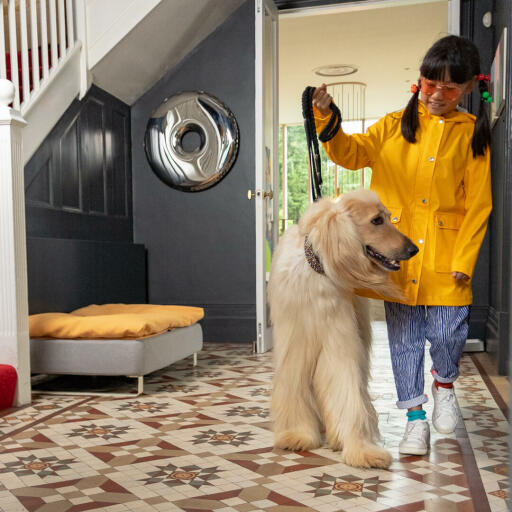 Jente som tar hunden på tur med Omlet Topology hundeseng med beanbag topper og hvite skinneføtter i bakgrunnen
