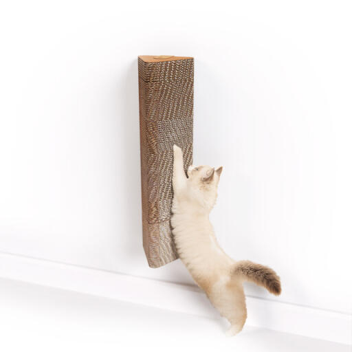 Katt som klorer på en veggmontert katteskrape i papp