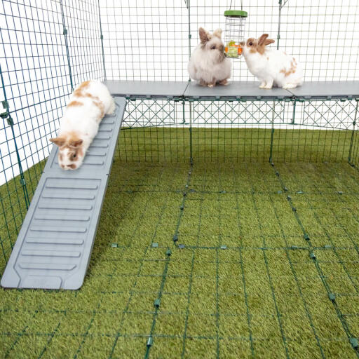 Omlet Zippi kanin lekegrind med Zippi plattformer, Caddi og tre kaniner
