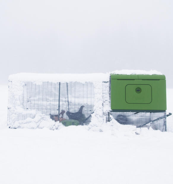 Eglu Cube hønsehus i Snow