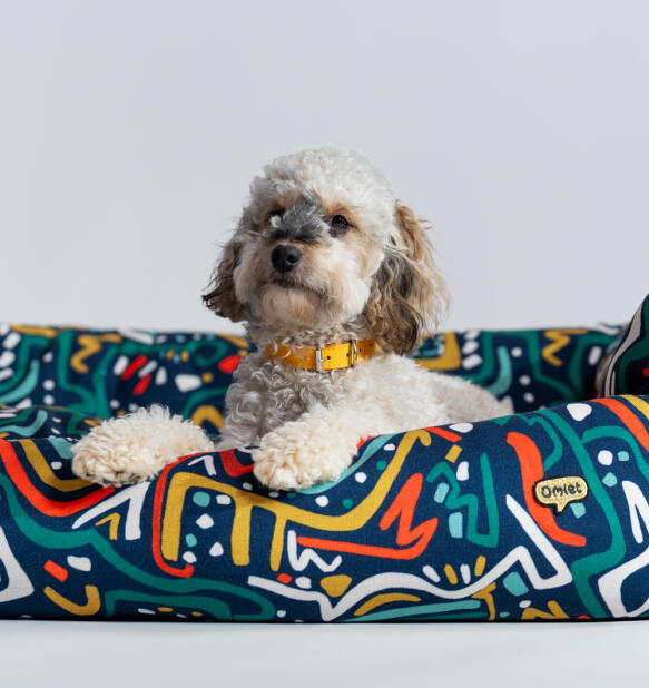 Hund som ligger på en Omlet rede-seng i zoomies-trykk