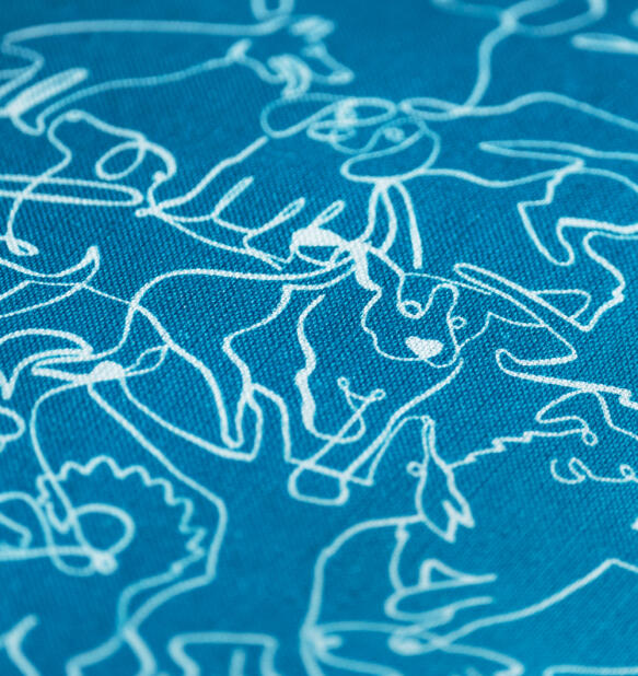 Nærbilde av håndtegnet blå hundeseng