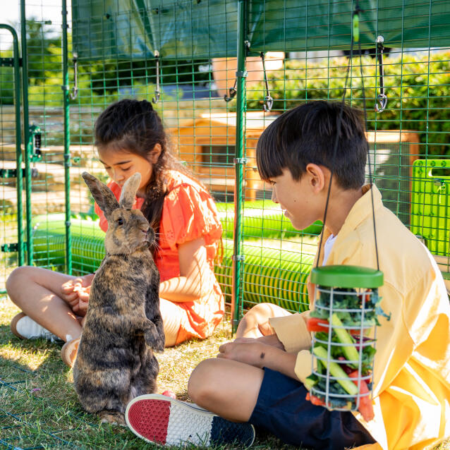 Barn og kaniner som leker inne i en stor utendørs kaninbinge