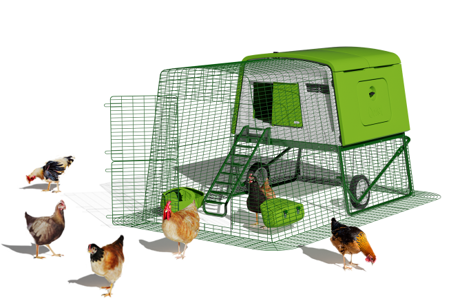 Eglu Cube chicken coop by Omlet