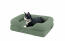 Katt som ligger på salviegrønn støtteseng for katter