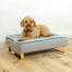 Hunden sitter på Omlet Topology hundeseng med vattert deksel topper og Go ld skinneføtter