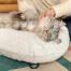 Katt som legger seg og blir kilt på Omlet Maya smultring katteseng i Snow hvite og svarte hårnålsføtter