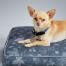 Chihuahua i en designer pute hundeseng forest fall grey designet av Omlet